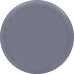 blank disc placeholder