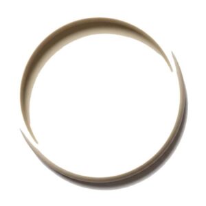 Gateway Charm disc placeholder image