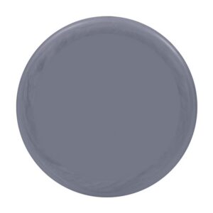 blank disc placeholder