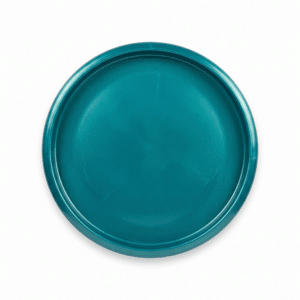 Mint Discs Lasso disc golf disc