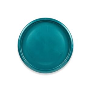 Mint Discs Lasso disc golf disc