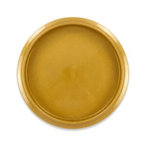 Mint Discs Pizza disc golf disc