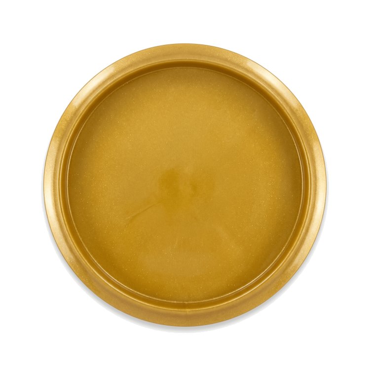 Mint Discs Pizza disc golf disc