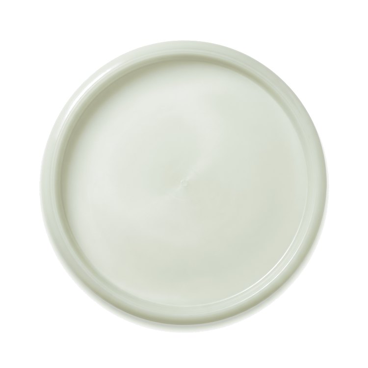 Mint Discs UFO disc golf disc